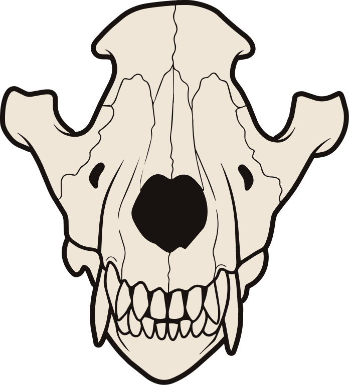 Wolf skull symbol